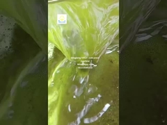 maszyna do tłoczenia oleju z nasion słonecznika