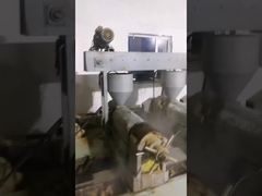 olej z nasion rosowca, organiczny, tłoczony na zimno