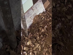 olej z nasion winogron tłoczony na zimno