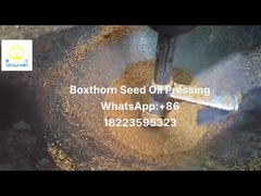 ekstraktor oleju tłoczonego na zimno