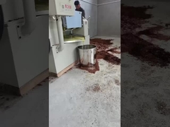 maszyna do tłoczenia zimnego oleju